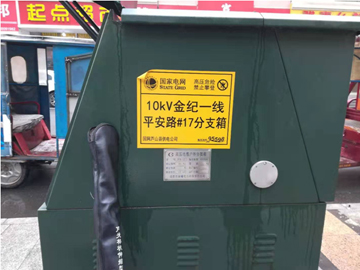 蘆山城區(qū)10KV分支箱除濕裝置安裝案例